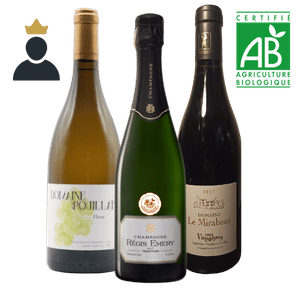 coffret champagne, cadeau prestige, vin médaillé, vigneron indépendant